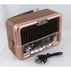 Радиоприёмник RX-BT6060 3 band (FM, AM, SW) акк. 18650, шнур microUSB, USB, TF, Bluetooth